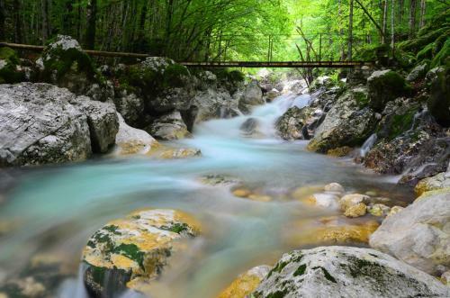 Bovec Home At Three Samoyeds