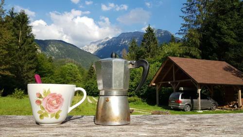Bovec Home At Three Samoyeds