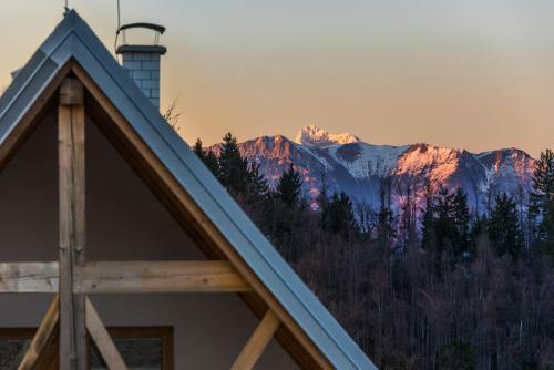 Apartamento House On The Hill (Hi?ka Na Gri?u)