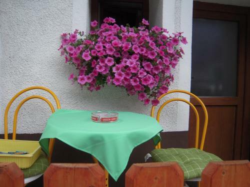 Hostal Apartmaji In Sobe Cuder