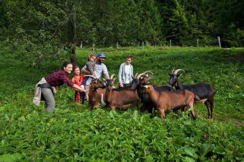 Agroturismo Kmetija Matk