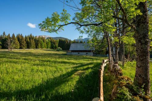 Holiday Home Srednja Vas