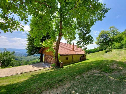 Oldhouse Knezovo