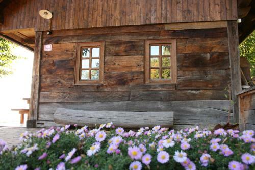 Oldhouse Knezovo