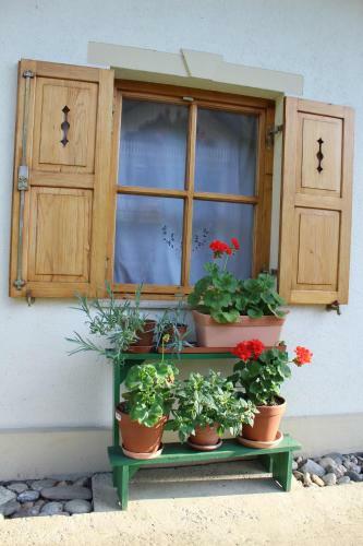 Apartamento Sleeping In Village