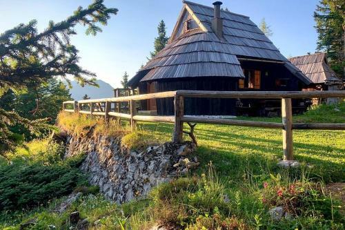 Ko?a ?ivka, Velika Planina