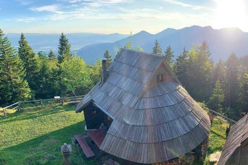 Ko?a ?ivka, Velika Planina
