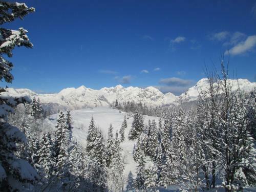 Chalet Tisa Velika Planina