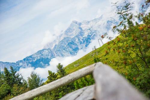 Chalet Tisa Velika Planina