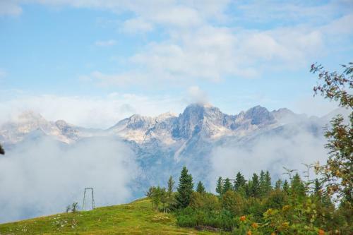 Chalet Tisa Velika Planina