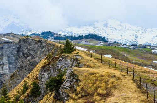 Chalet Tisa Velika Planina