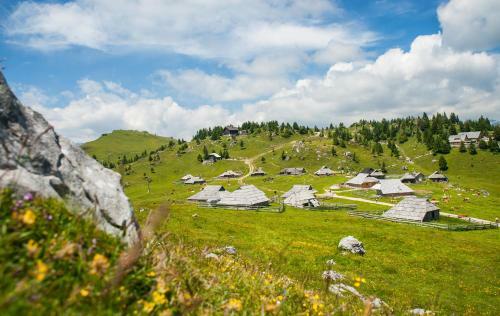 Chalet Tisa Velika Planina