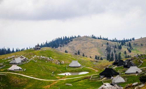 Chalet Tisa Velika Planina