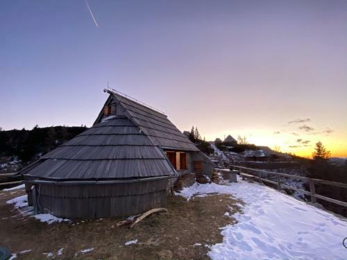 Ko?a Ojstrica - Velika Planina