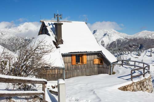 Ko?a Ojstrica - Velika Planina