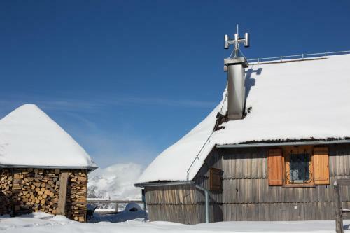 Ko?a Ojstrica - Velika Planina