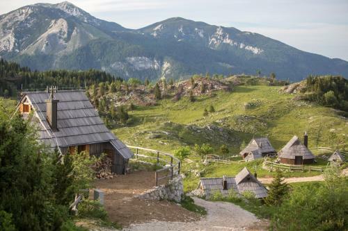 Ko?a Ojstrica - Velika Planina