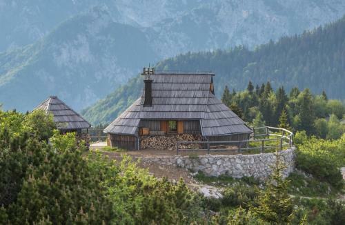 Ko?a Ojstrica - Velika Planina