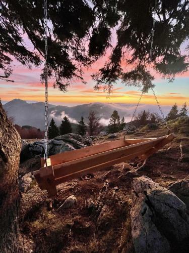 Ko?a Ojstrica - Velika Planina