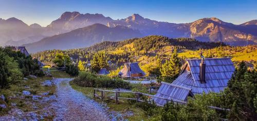 Ko?a Ojstrica - Velika Planina