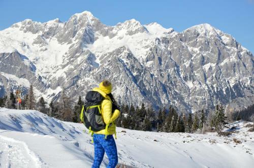 Ko?a Ojstrica - Velika Planina