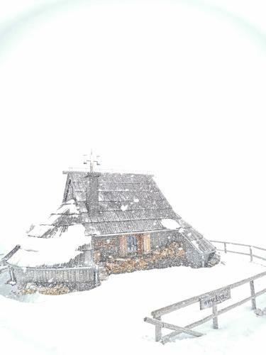 Ko?a Ojstrica - Velika Planina