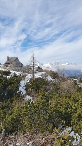 Ko?a Ojstrica - Velika Planina