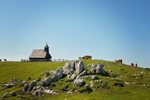 Lodge Chalet Kanja Velika Planina