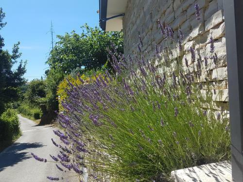 Apartment In Villa, Near Piran