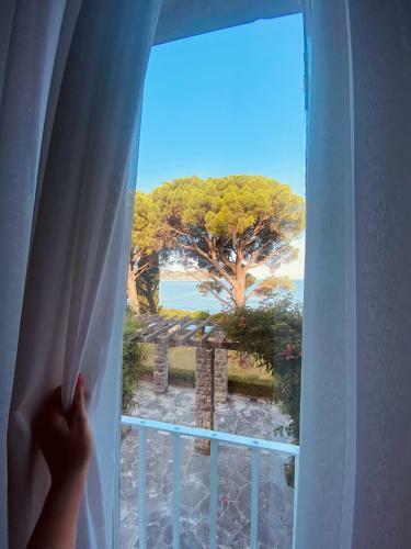 Hotel Vila Tartini