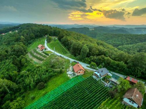 Vineyard Cottage Matej