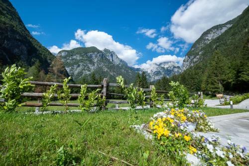 Apartamento House Dormica