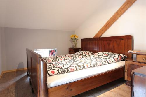 Apartment Soca Tolmin