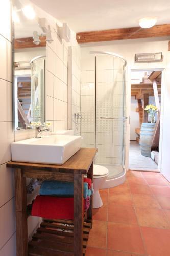 Apartment Soca Tolmin