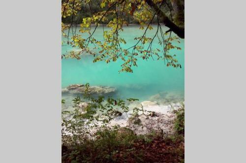 Apartamento Pr' An?inu V Tolminu