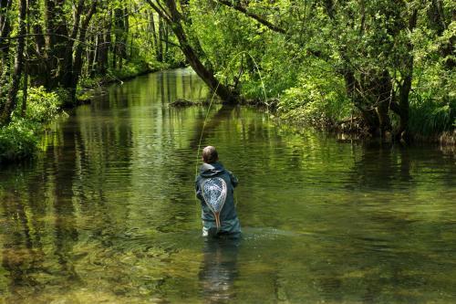 Apartamento The Bears Lair