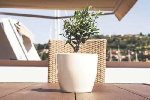 Marina Luxury Houseboat Lavender