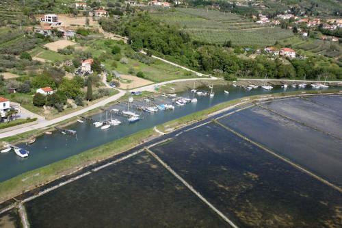 Villa Saline Apartments Portoro?