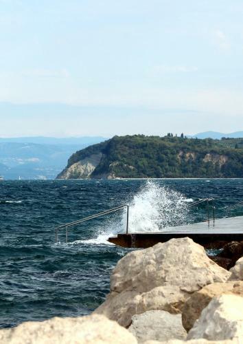 Floating House Adela