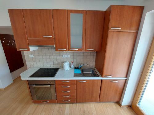 Apartmaji Fizine