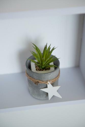 Apartma Rene