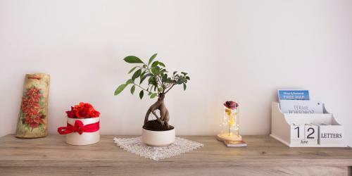 Red Rose Apartment