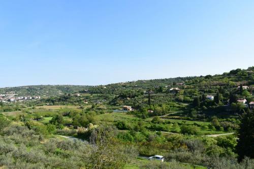 Apartma Burja