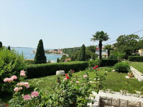 Apartamento Studio Solare