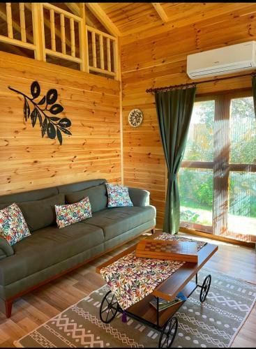 Villa And?zalt? Do?a Evleri Zeytin Ev Dat�a