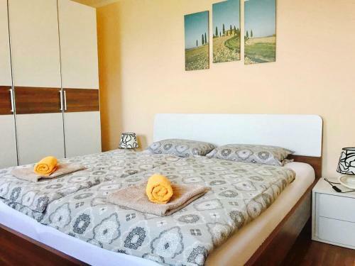 Hostal Apartments Planina Pod Sumikom