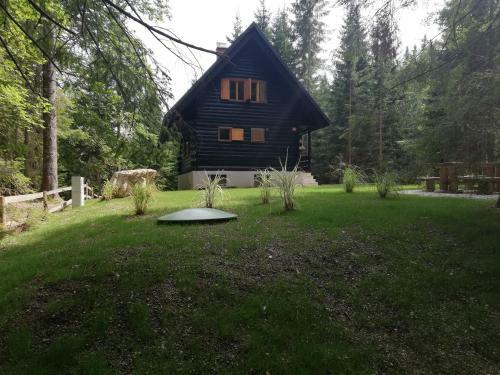 Cosy Lodge Pokljuka
