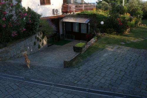 Apartamento Il Lilla