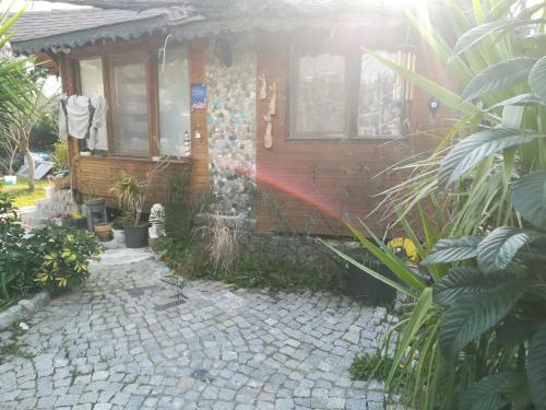 Villa Ah?ap Havuzlu Yazlik Ev