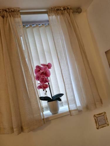 Hostal Belleva Boutique Guest House